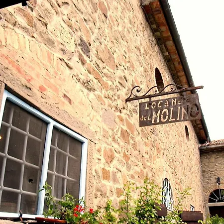 Del Molino Cortona